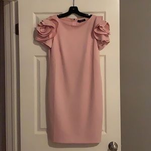 Pietro Brunelli Salisburgo Maternity Pink Dress